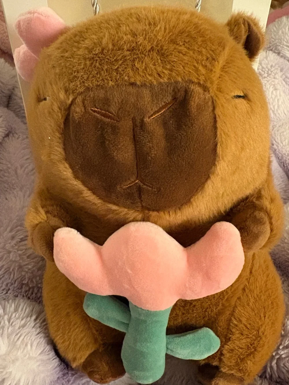 NWT Plush Small Pet Toy - Brown & Pink Flower Capybara gift set